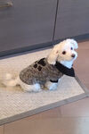 Puppy Paw Puppy Sweater, Black, original image number 0