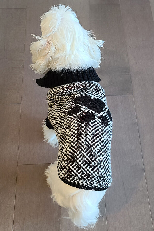 Puppy Paw Puppy Sweater, Black, original image number 1