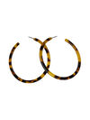 Amazing Hoop Earrings, Brown, original image number 0