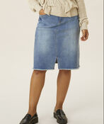 Denim Skirt, Denim, original image number 1