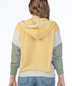 Stripe Hoodie Sweater, Multi, original image number 1