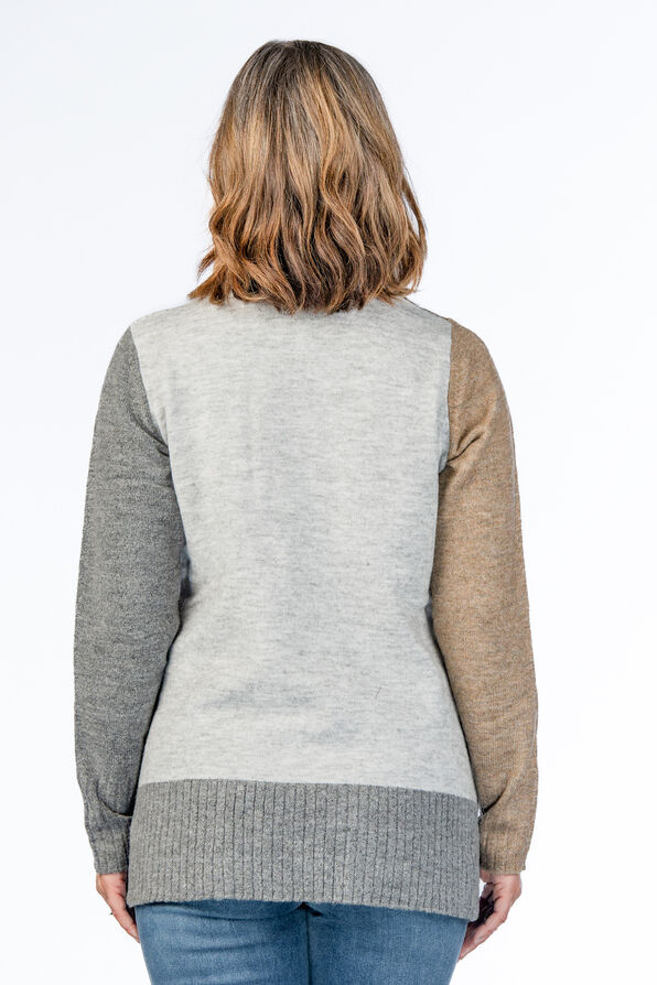 Colorblock Multi-Colored Turtleneck Sweater, Grey, original image number 1