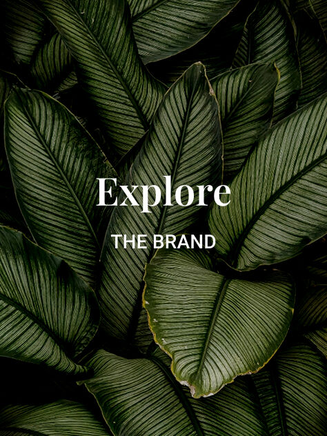 Explore The Brand