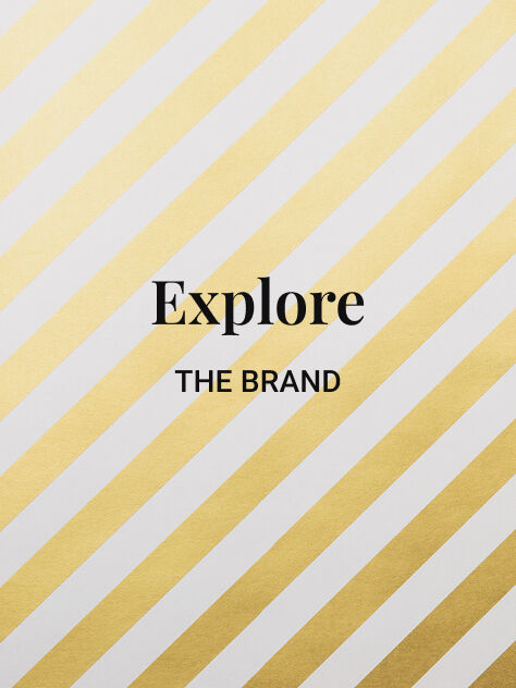 Explore The Brand