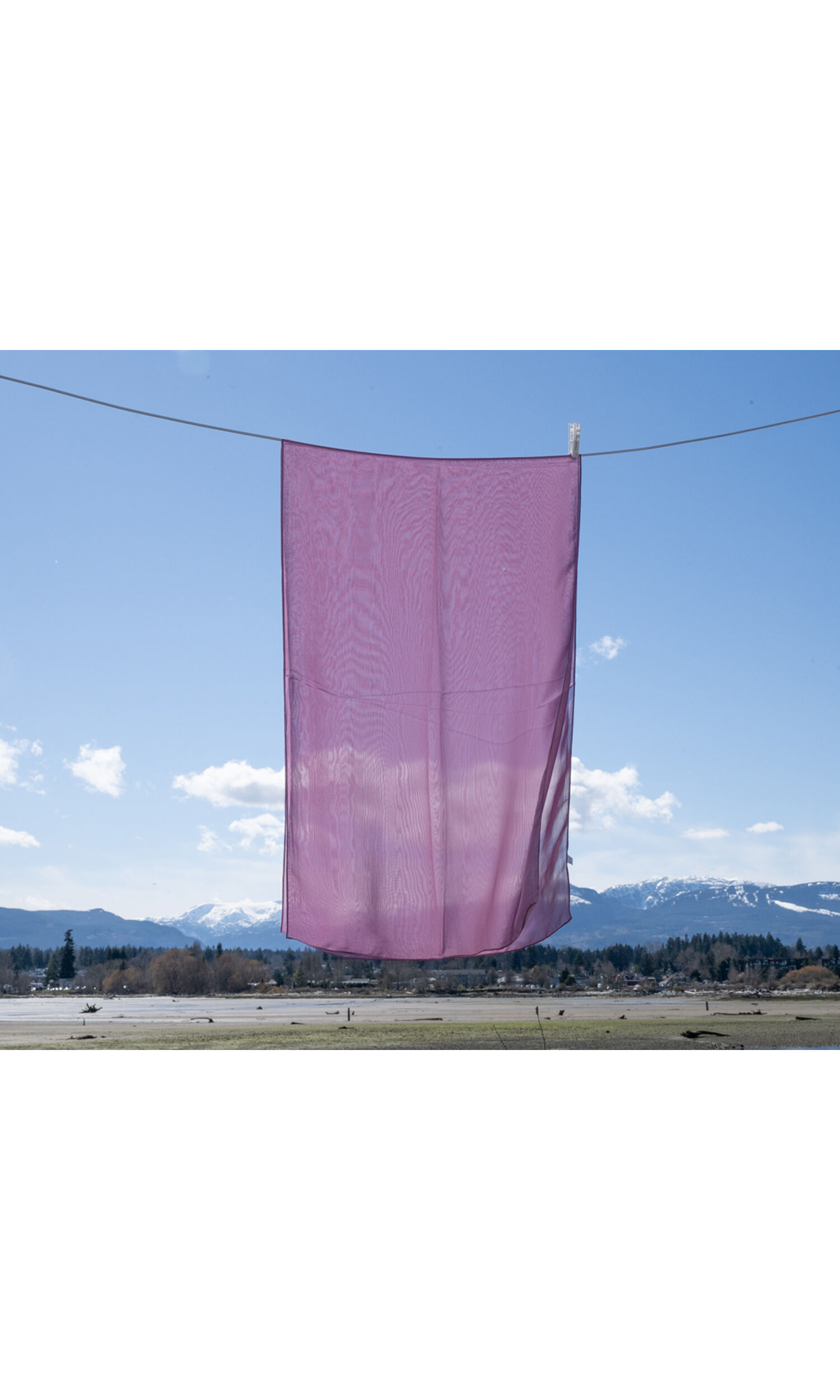 Chiffon Scarf Image 2