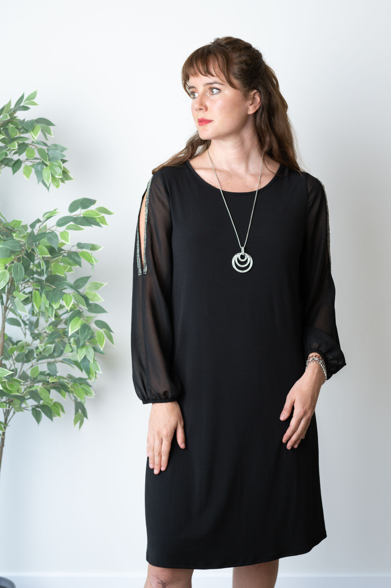 Timeless Classic Black Dress Image 1