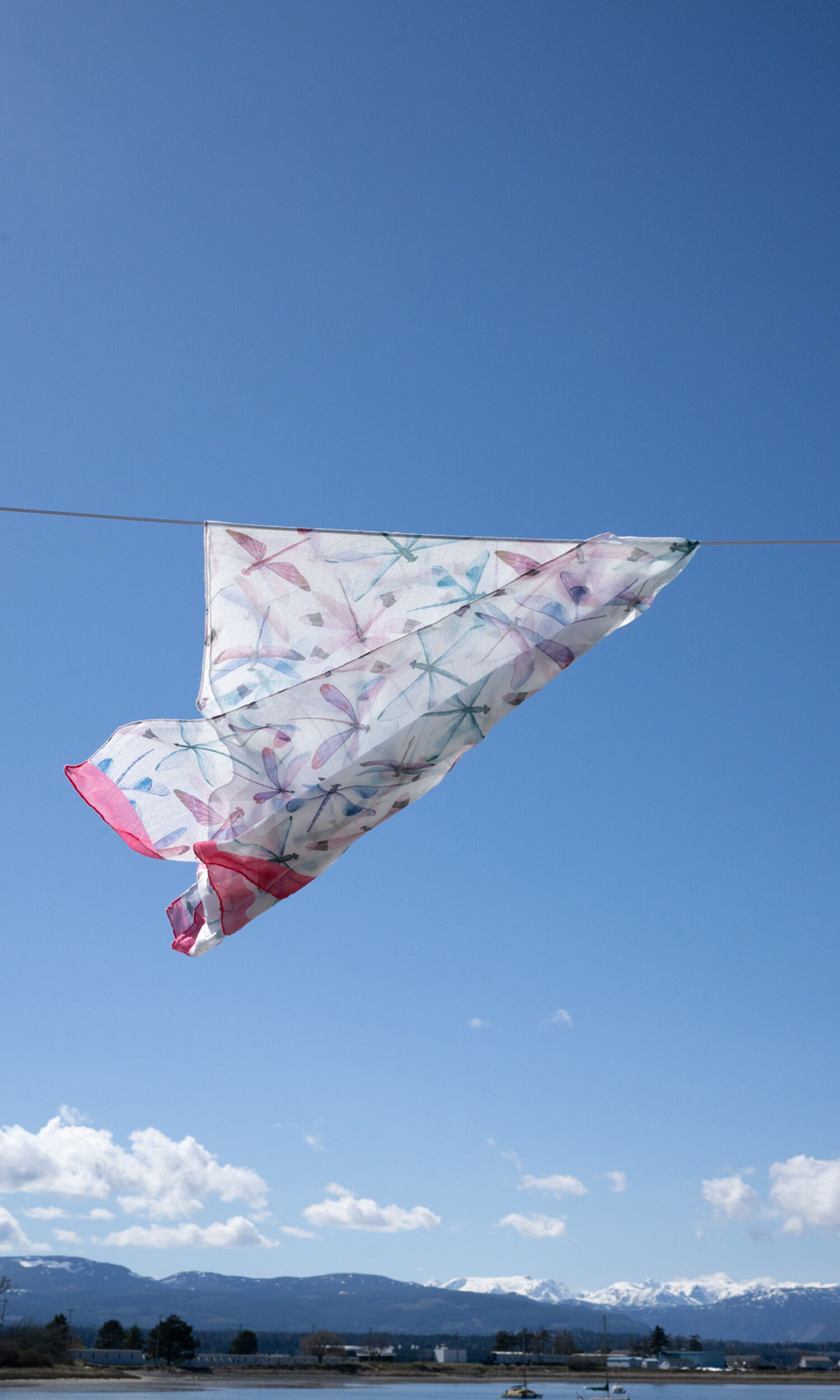 Dragonfly Scarf Image 2