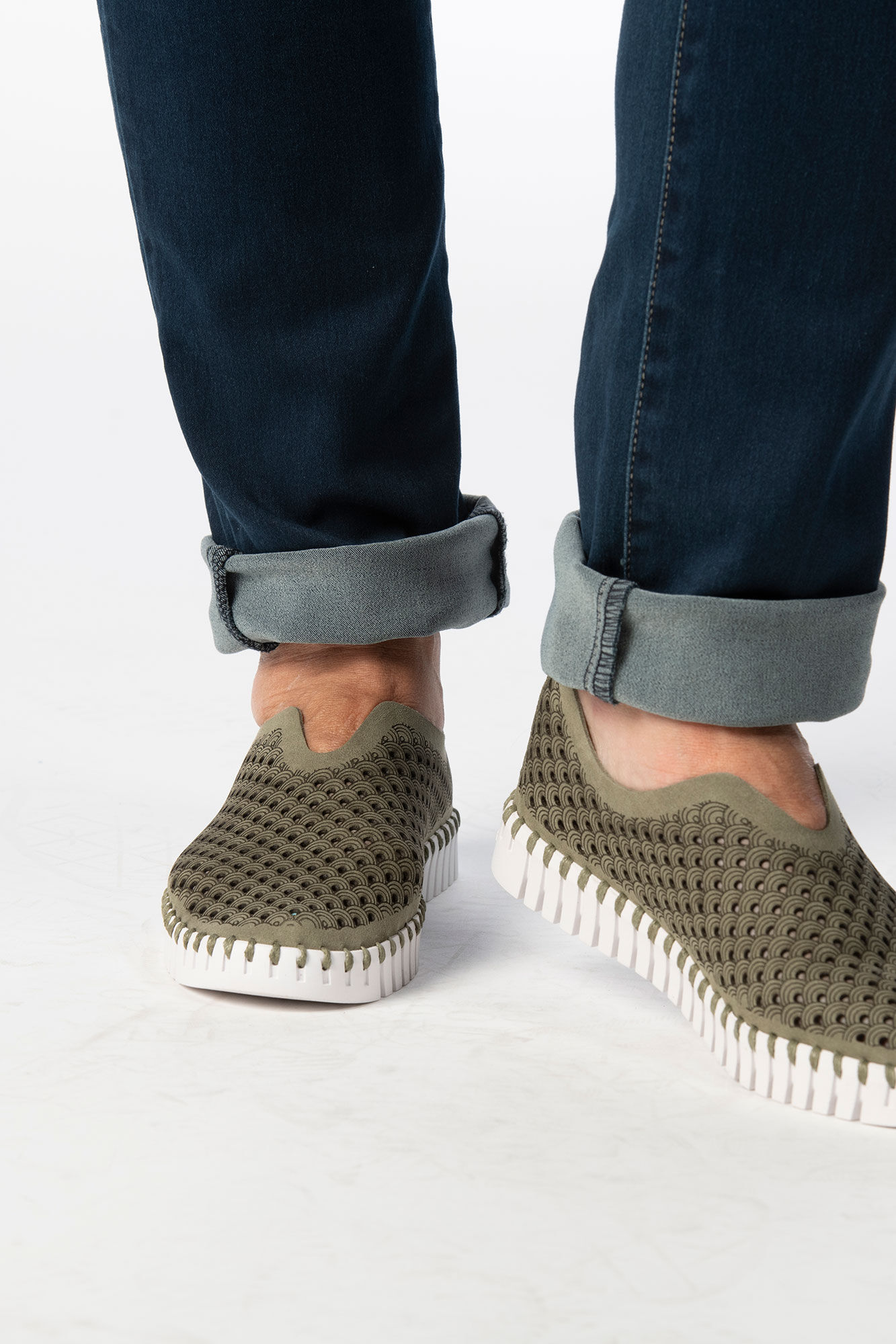 The Isle Jacobsen Tulip Image 2