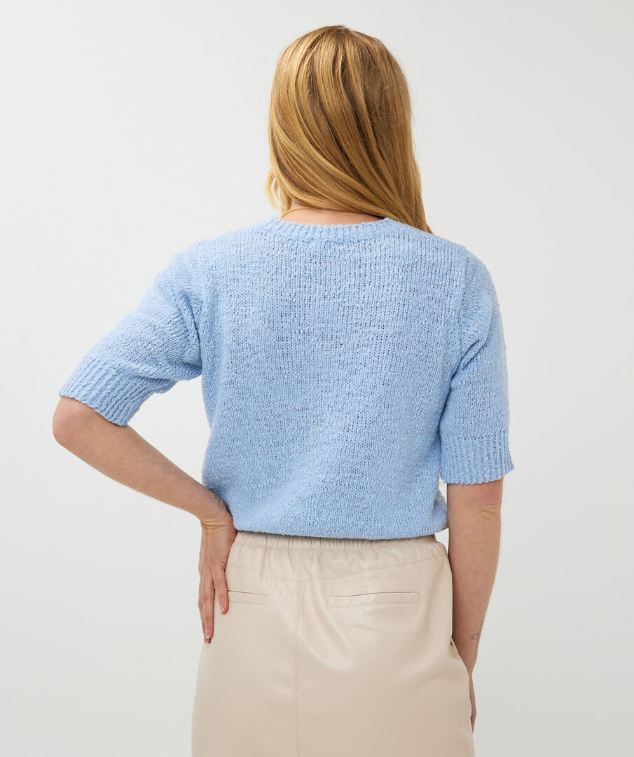 Short Sleeve Sweater with Sequins Image 4