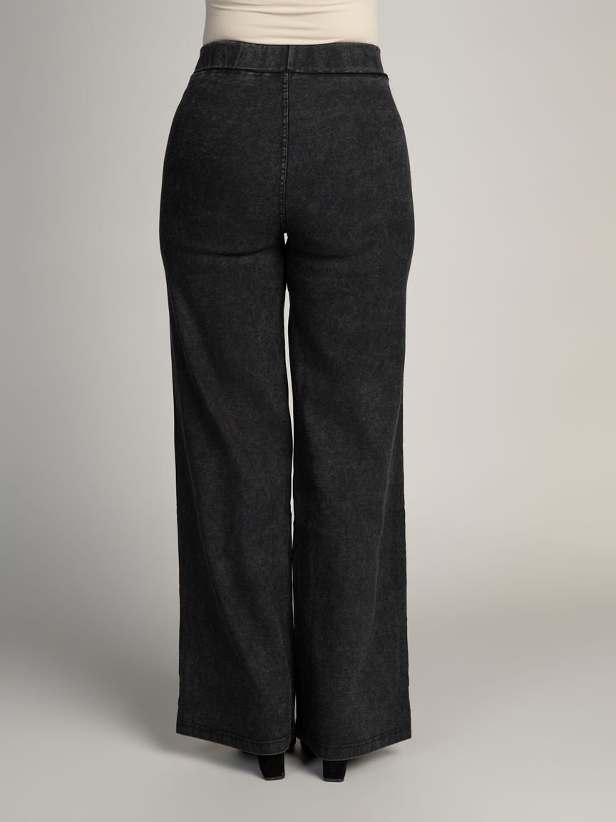 Wide Leg Pull-On Denim Pants