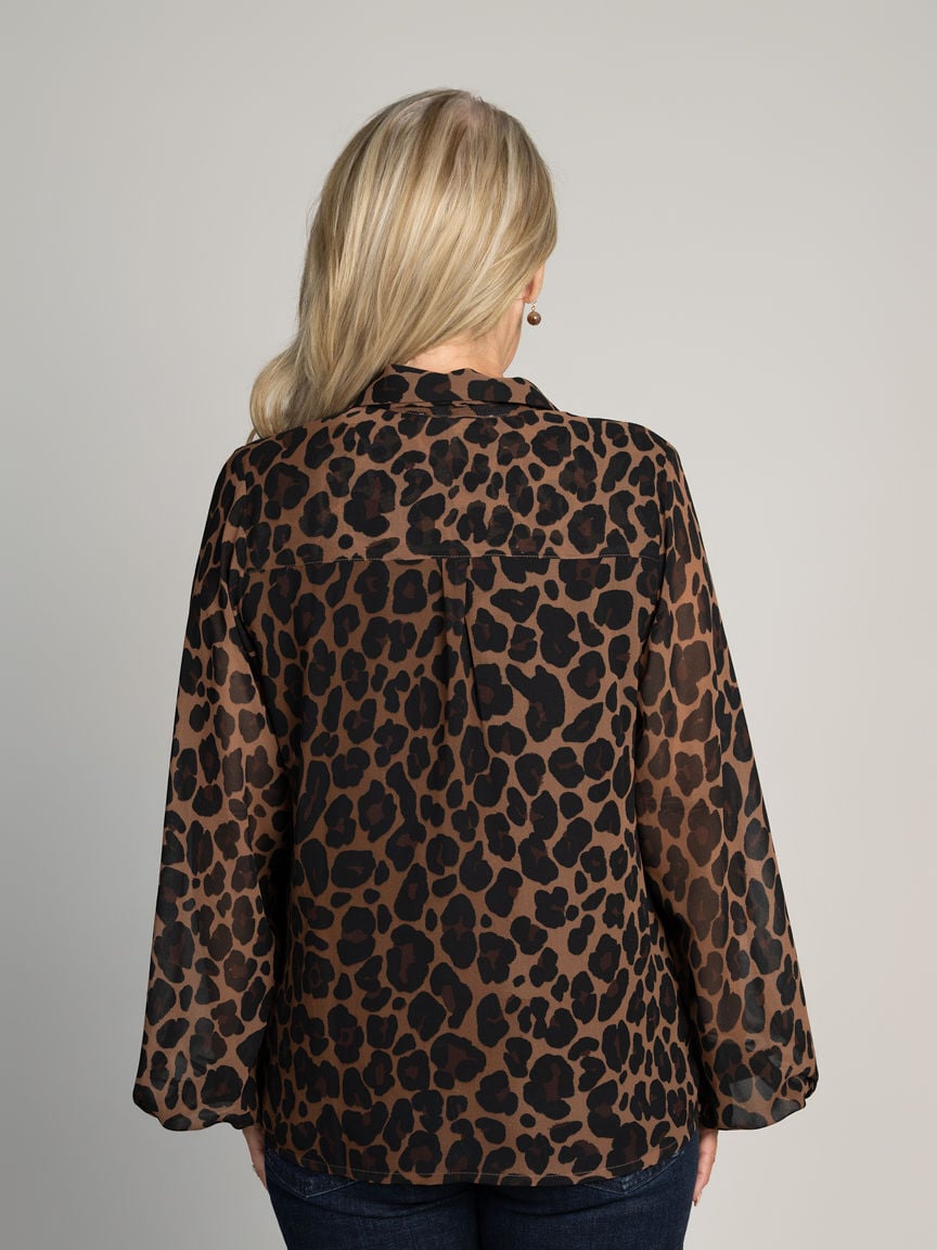 Sheer Button-Up Blouse