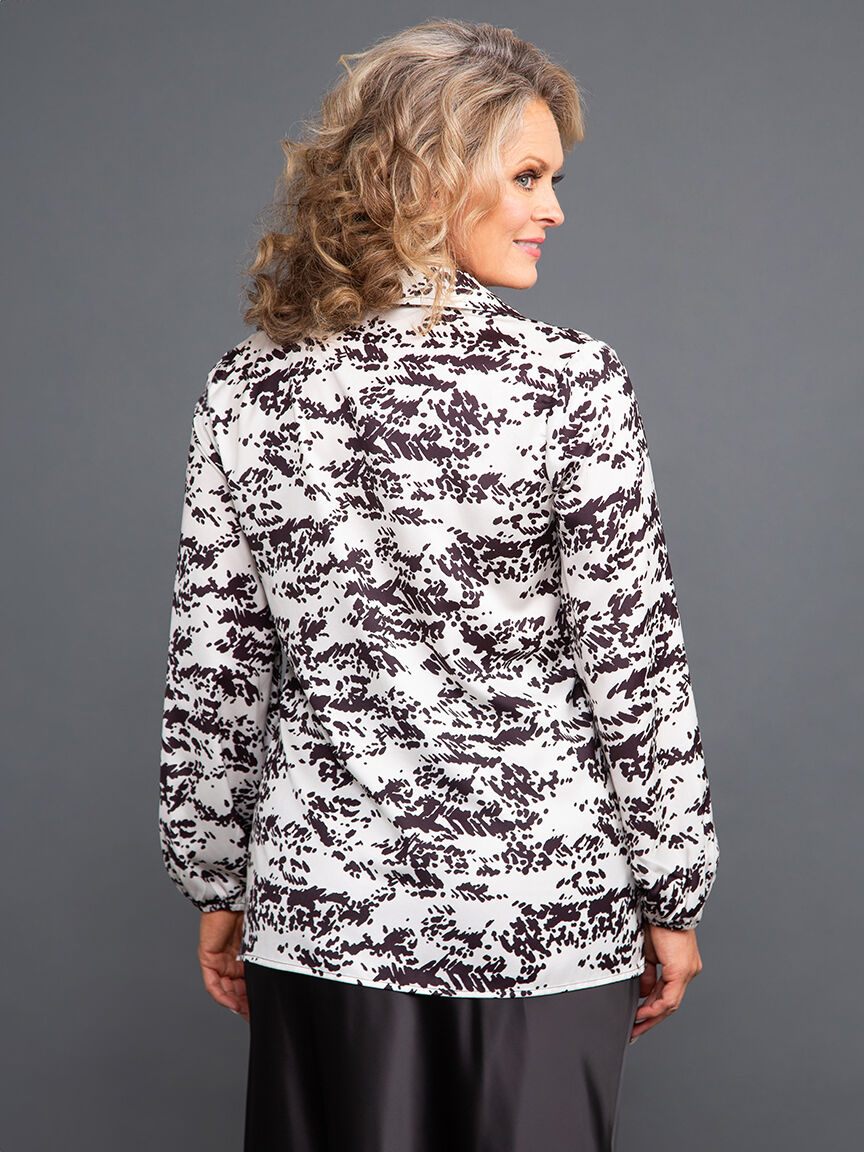 Pointed Collar Satin Blouse