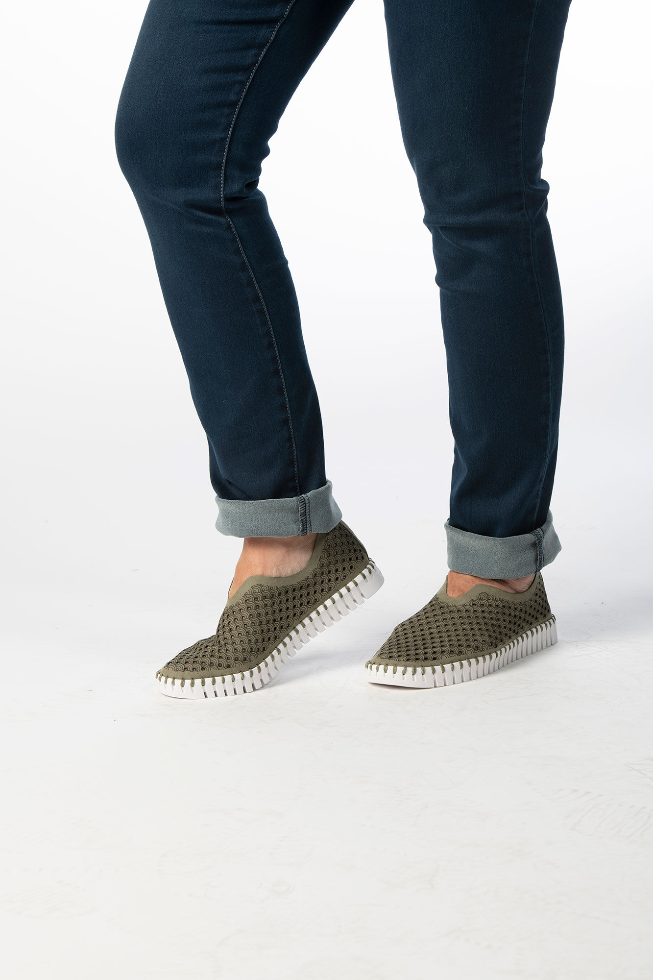 The Isle Jacobsen Tulip Image 1