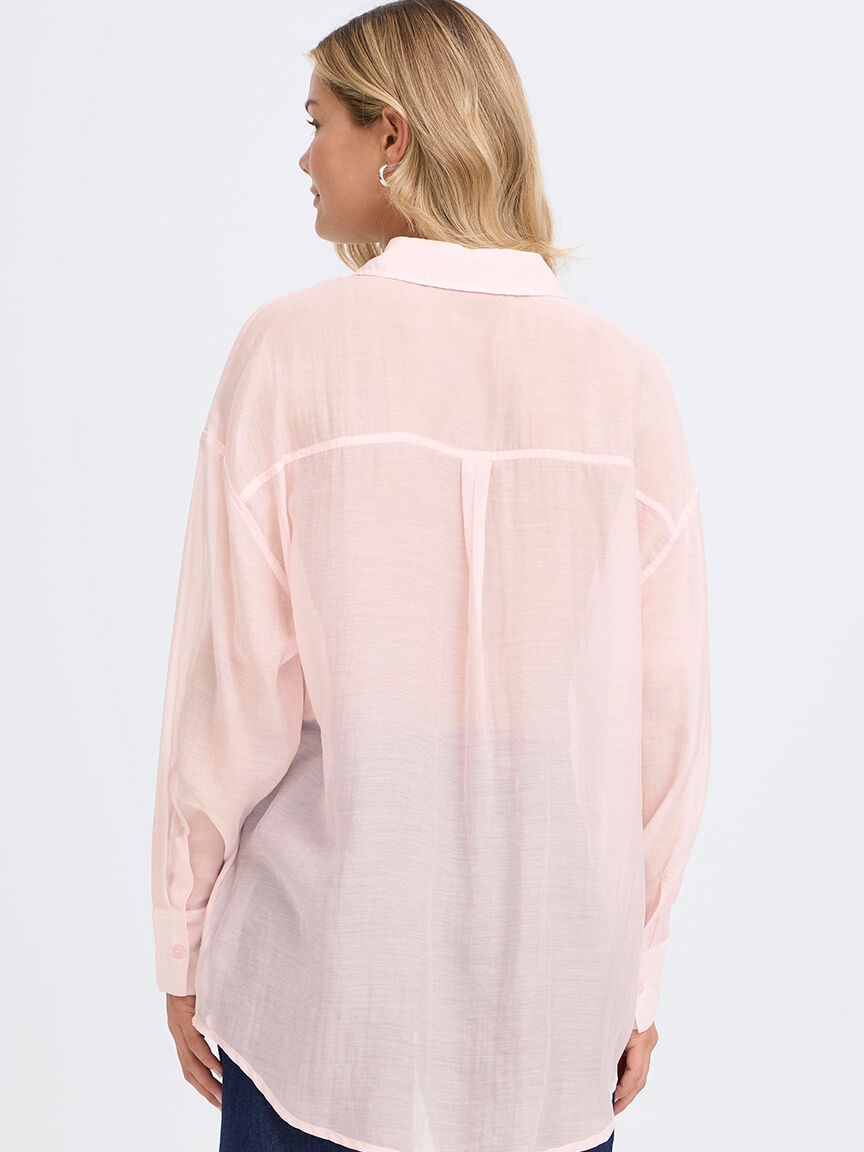 Long Sleeve Sheer Blouse