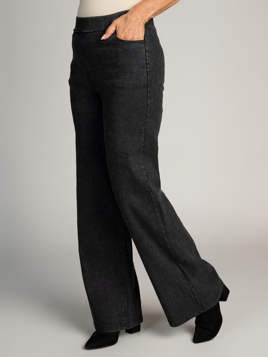 Wide Leg Pull-On Denim Pants