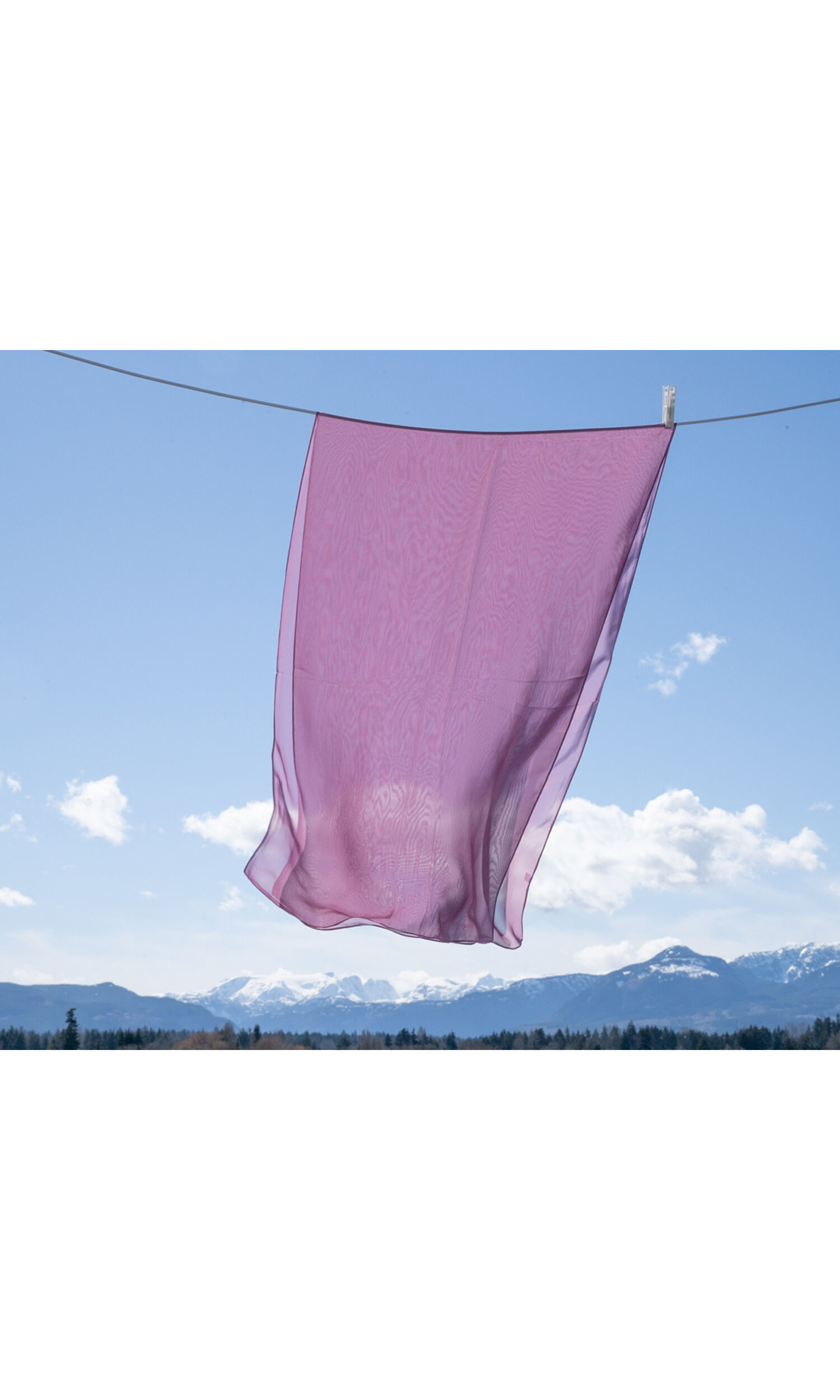 Chiffon Scarf Image 1