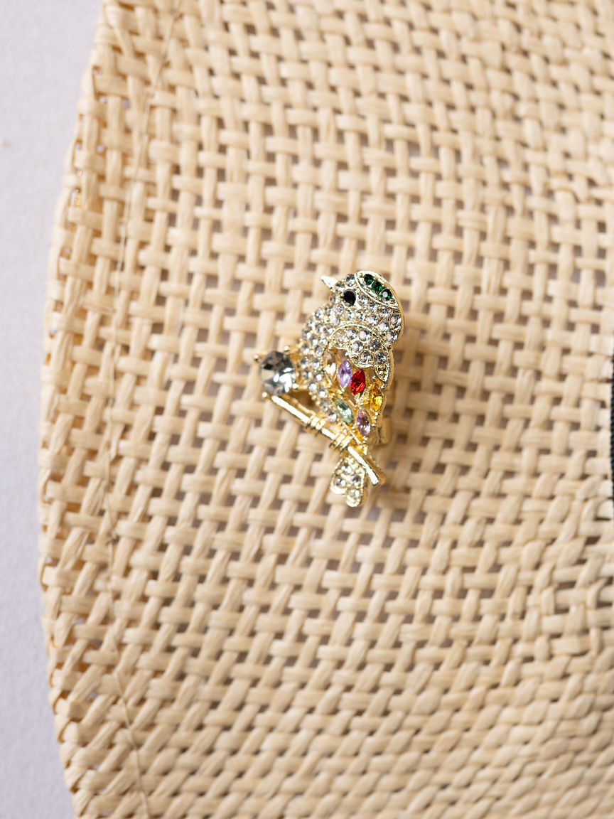 Sparkling Bird Pin