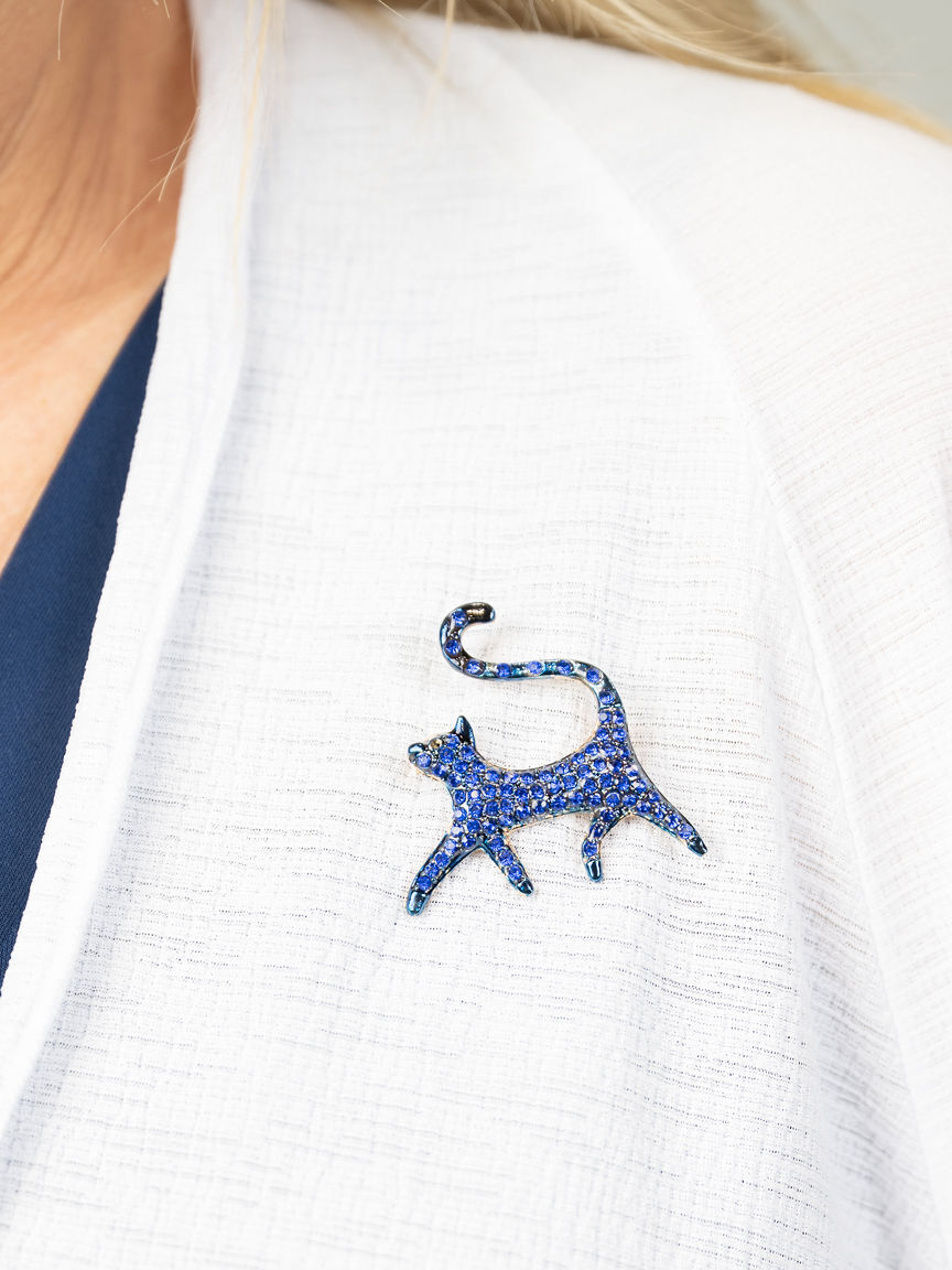 Diamond Walking Cat Pin
