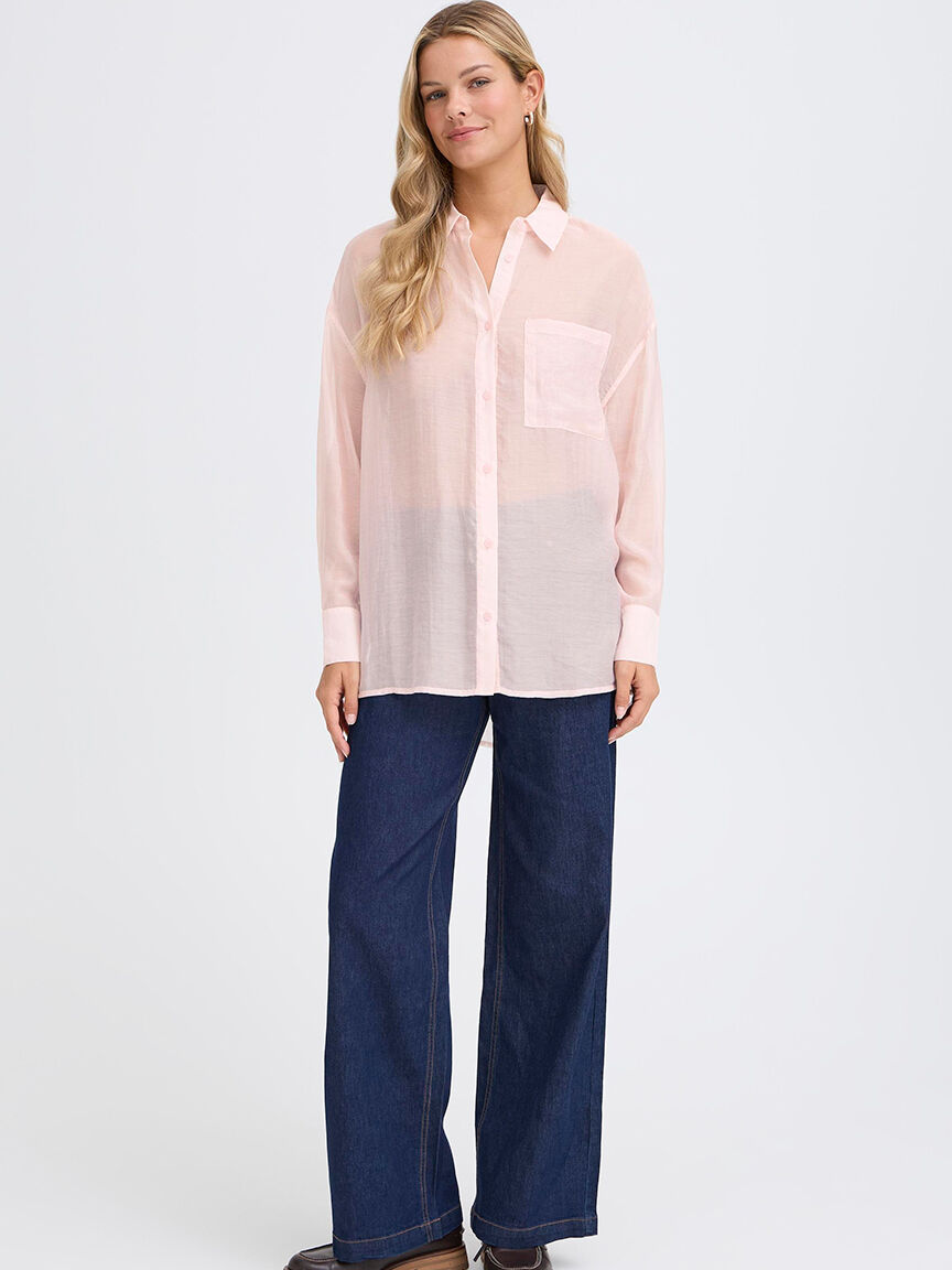 Long Sleeve Sheer Blouse