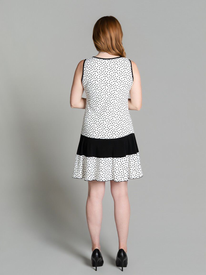 Sleeveless Fit & Flare Dress Image 2