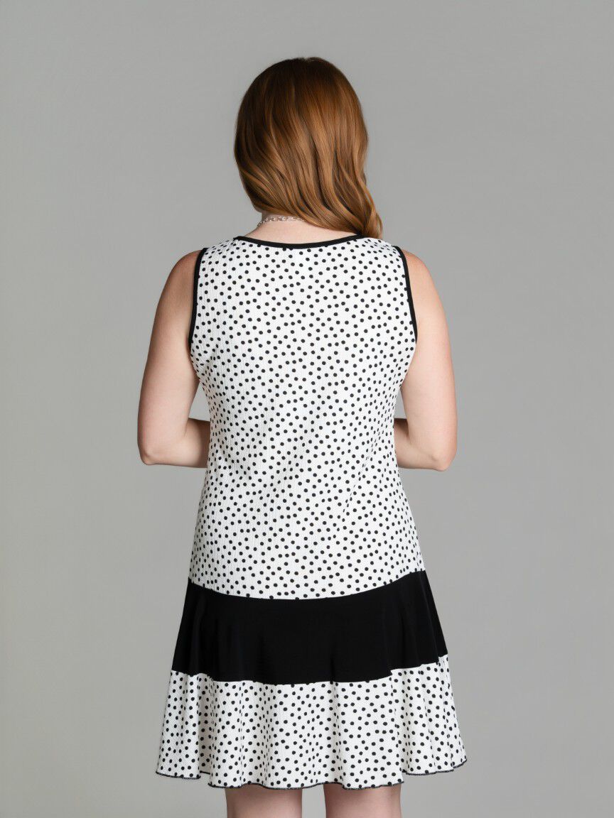 Sleeveless Fit & Flare Dress Image 4