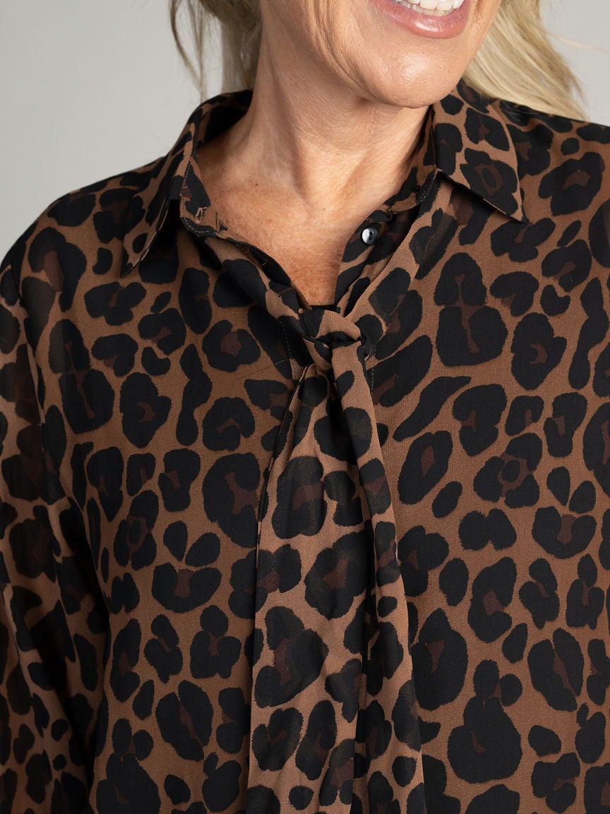 Sheer Button-Up Blouse
