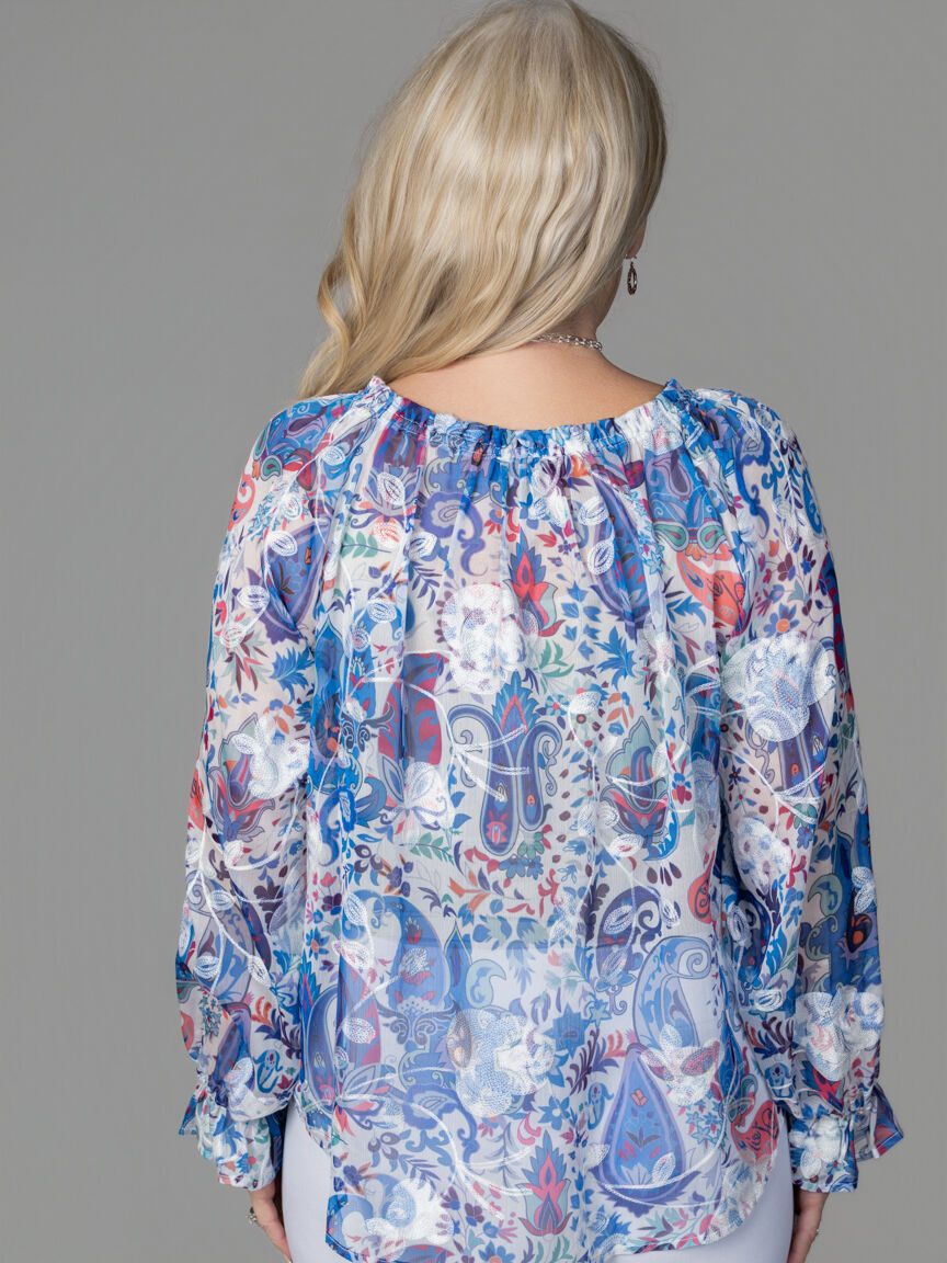 Long Sleeve Sheer Blouse With Embroidery