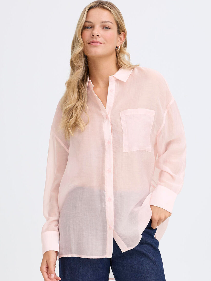 Long Sleeve Sheer Blouse