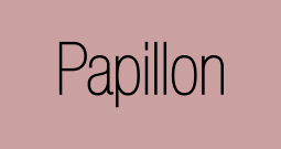 Papillon image